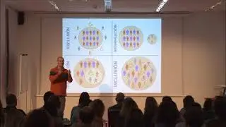 Integración en el aula ordinaria con Apoyo
