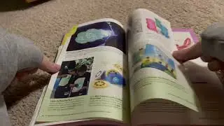Crinkles ASMR for Sleep | Magazine Nostalgia