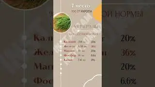 Железо: ТОП 10 продуктов с самым высоким содержанием, доступных на кето 