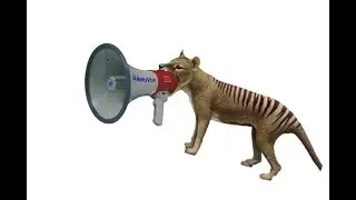 Using Weird Voices  -  Reading Fanfic while playing Ty the Tasmanian Tiger 2 Ep 11