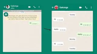 Hide Last seen & Online GB WhatsApp|| GB WhatsApp Settings 2023