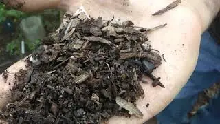 High carbon soil: checking on the composting area
