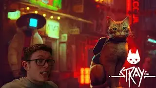 I Became a CAT?! | RGF