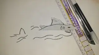 Como desenhar um tubarão 3D