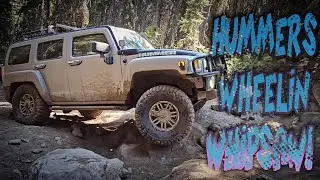 Hummers  Wheelin Whipsaw