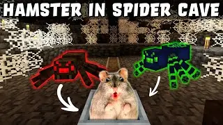 Hamster in Roller Coaster SPIDER CAVE MAZE in Minecraft