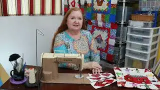 Collaborative Community Sew Along - Block 2 Round 1 Pieced Borders