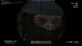 DayZ Battle Royal with Randoms