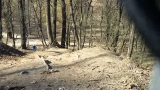 Нивковский торчек