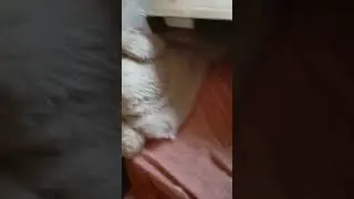 блин
