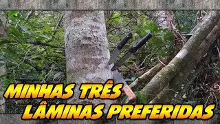 TAG: MINHAS TRÊS LÂMINAS PREFERIDAS