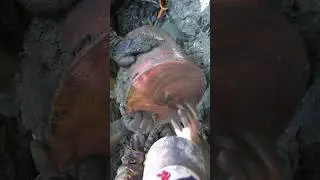 Огромная гильза от Чешской пушки