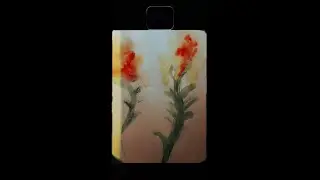 }- bloom -{