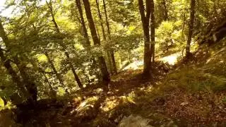 Felsenweg Vogesen