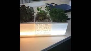 다육이 조명화분 제작#3D프린팅