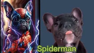 French Bulldog as Avengers - Marvel, DC  All Character – Be Amazed! #marvel #avengers #dc #