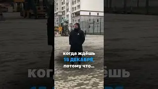 15 декабря близко… #shortsvideo