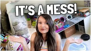 Best Tips for Keeping your Guinea Pig's Space Clean!