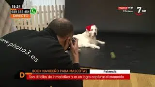 Las mascotas también disfrutan de las sesiones de fotos | Castilla y León directo