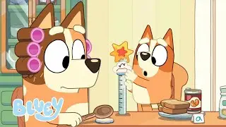Incontro di famiglia | Bluey Italiano Canale Ufficiale