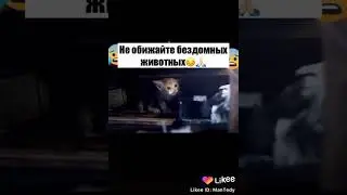 26 января 2020 г.