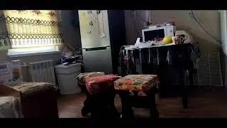 Live Stream