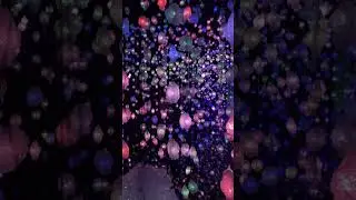 Digital flowers art exhibit 