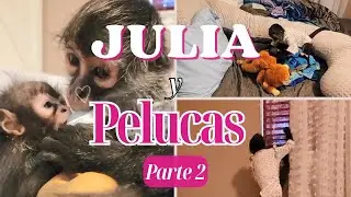 Julia y Pelucas Pt. 2