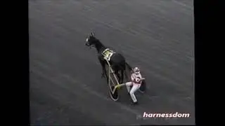 2000 Freehold Raceway BEST LAID PLANS Luc Ouellette Shady Daisy Series Track Record