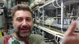 Muta al termine e pulizie fatte !!!