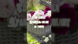 17 сентября День Ангела Елена, Леночка ❤️🥰🙏