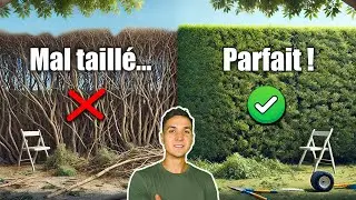 Comment Tailler et Ramasser une Haie FACILEMENT: TOUTES mes Astuces !