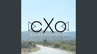 Karma Chameleon