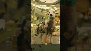 Cox mobile Tornado VFX Breakdown | Framestore