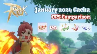 「The wish of the koi fish」 DPS Test (Best Mouth for Elf?) ~ January 2024 Gacha | Ragnarok M