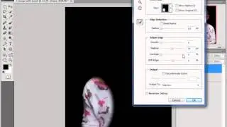 1 image with insert