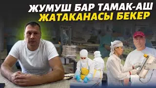 Айлыктар көтөрүлдү ⚠️ өтө көп Адам керек экен 🔴 #жумуш