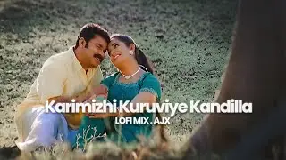 Karimizhi Kuruviye Kandilla ~ malayalam lofi mix ~ ( AJX )