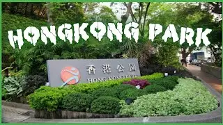 Hongkong Park