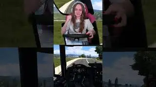 СКРИМЕР НА ДОРОГЕ 