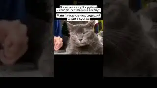 неловкая ситуация #мемы #смешныемемы #смешныевидео #shorts