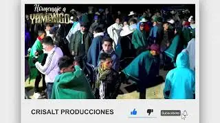 Homenaje a Yamango▁ ▂ ▃ Deleites Andinos≣≣ PRIMICIA❷⓿❷ ➍