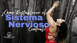 How to Restore Your Nervous System with Conscious Breathing?