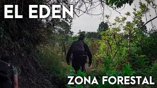 Cascada Las Golondrinas / Piedecuesta