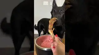 Breakfast Time