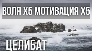 Воля Х5. Мотивация Х5. Целибат.Воздержание
