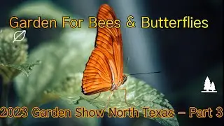 Gardening for Bees and Butterflies