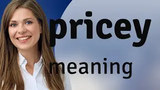 Pricey • meaning of PRICEY