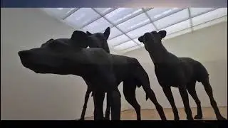 كلاب أمزميز،  والقرية المكلبة. Amizmiz