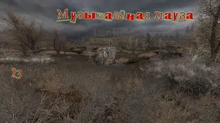 Музыкальная пауза # 23